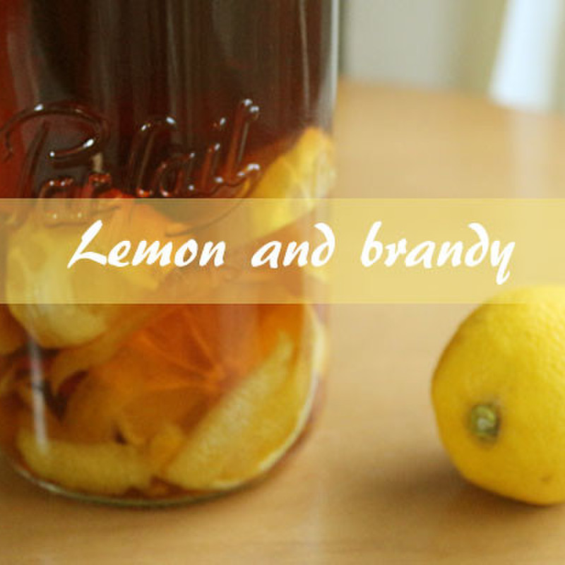 みんなが作ってる レモン酒 ブランデーのレシピ クックパッド 簡単おいしいみんなのレシピが367万品