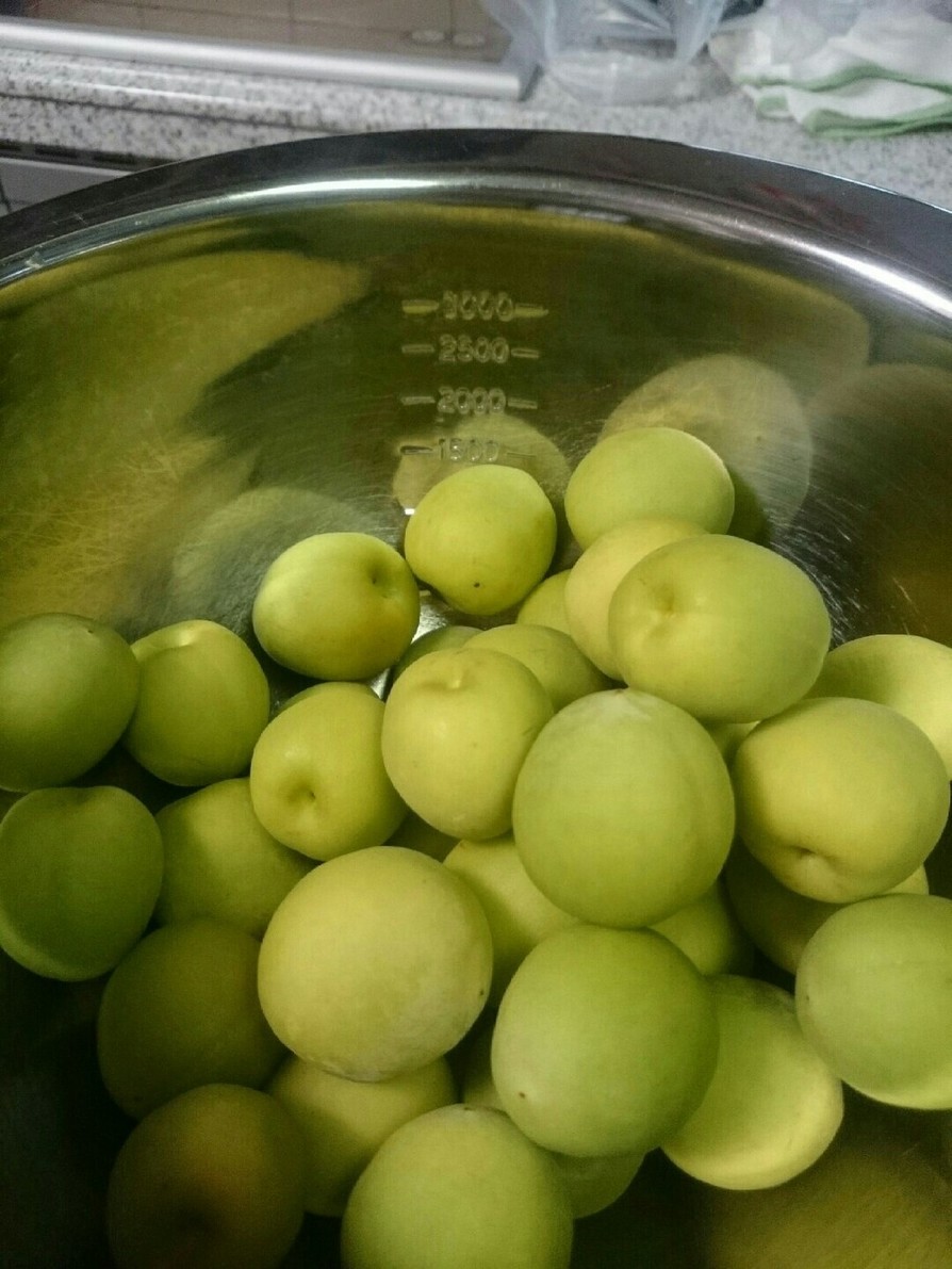 梅シロップを蜂蜜で…(リンゴ酢入り)の画像
