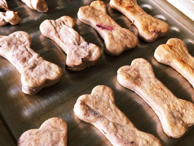 犬用 クランベリー ブルーベリービスケ レシピ 作り方 By クロード君専用コック クックパッド 簡単おいしいみんなのレシピが359万品