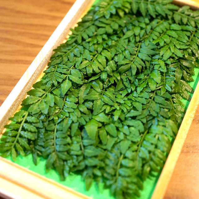 永久保存版 木の芽 山椒の新芽 冷凍保存 レシピ 作り方 By 匡masa クックパッド 簡単おいしいみんなのレシピが350万品