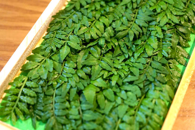 永久保存版 木の芽 山椒の新芽 冷凍保存 レシピ 作り方 By 匡masa クックパッド