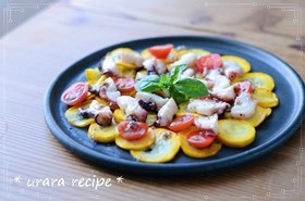 タコとズッキーニのマリネ