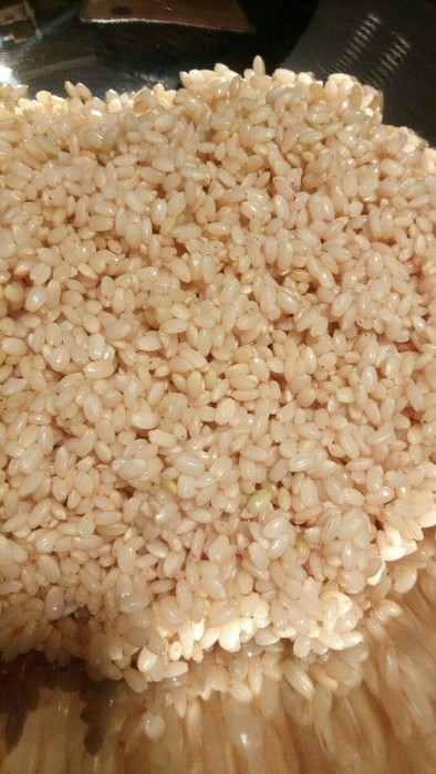 玄米を発芽玄米にする方法①じっくりの写真