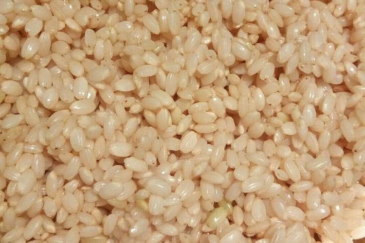 玄米を発芽玄米にする方法 じっくり レシピ 作り方 By Roses クックパッド 簡単おいしいみんなのレシピが359万品