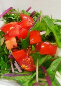 夏野菜と大葉ニンニクのドレッシングサラダ