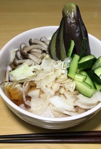 パパさんが作る、夏だ！野菜うどん