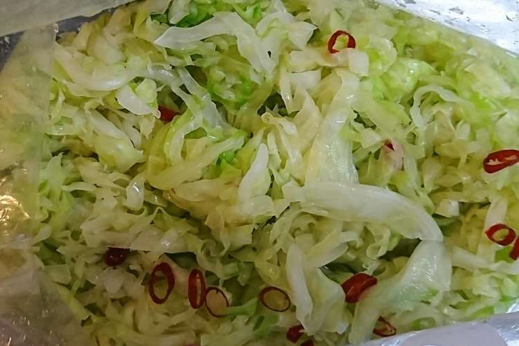 酢キャベツでお酢を毎日とろう レシピ 作り方 By がじゅう09 クックパッド 簡単おいしいみんなのレシピが356万品