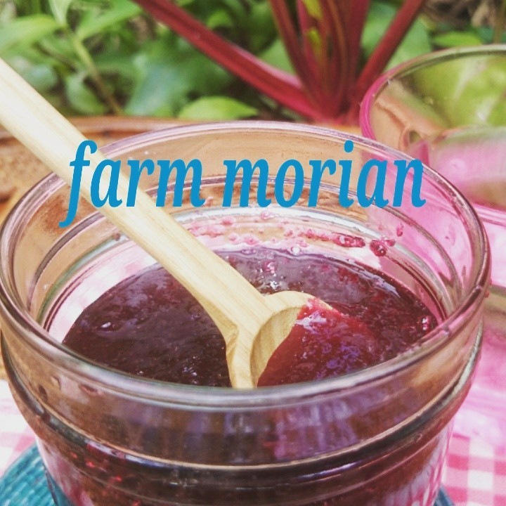 ビーツとリンゴのスローのレシピ