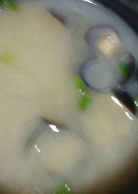 ◆しじみの味噌汁◆(砂抜きのやり方)