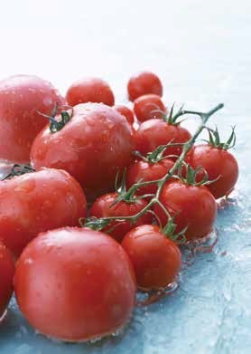 イタリアンシェフ直伝トマトソースの画像