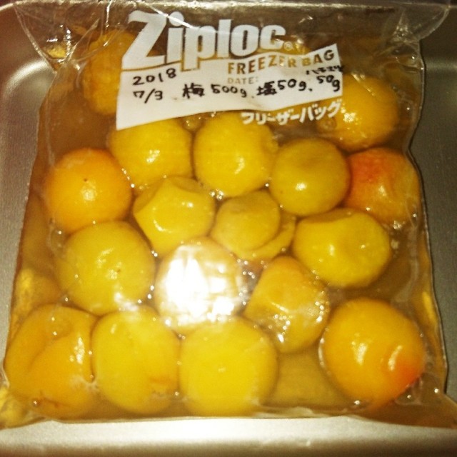 ジップロックではちみつ梅干し 梅漬け レシピ 作り方 By ひな84 クックパッド 簡単おいしいみんなのレシピが357万品 ジップロックではちみつ梅干し 梅漬け レシピ 作り方 By ひな84 クックパッド 簡単おいしいみんなのレシピが357万品
