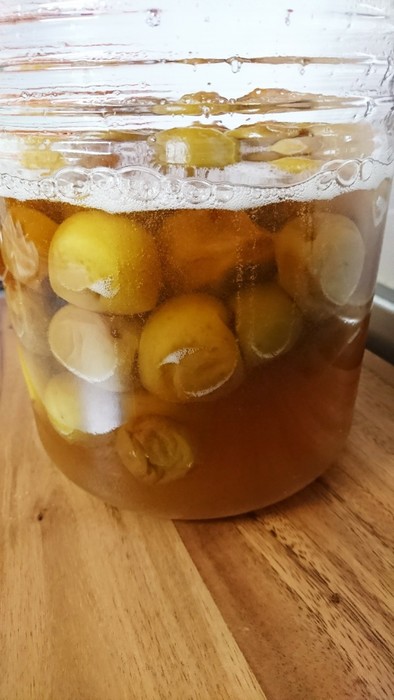 黒酢入り❁すっきり味の梅ジュースの写真
