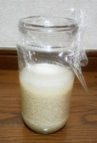 塩麹の作り方と出来上がり観察
