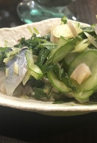 しめ鯖と香味野菜サラダ