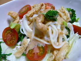 サラダうどん