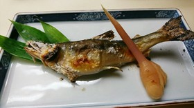 鮎の塩焼き(踊り串のさし方)