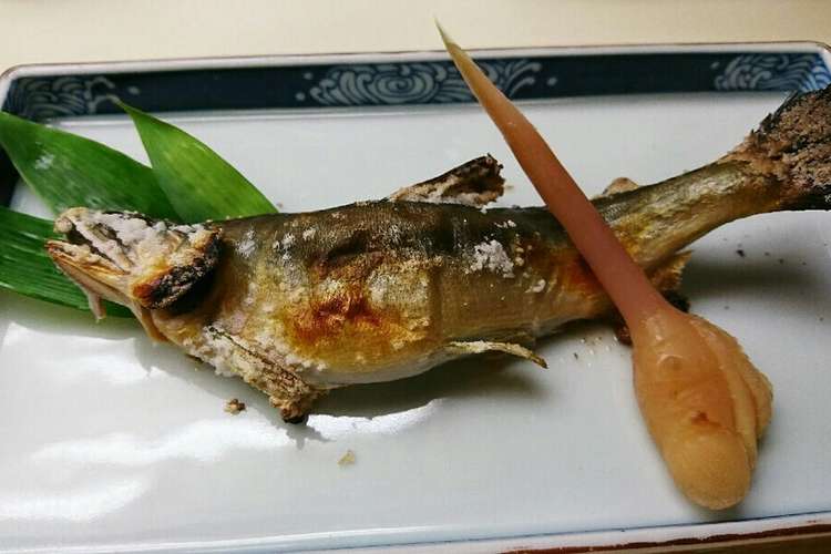 鮎の塩焼き 踊り串のさし方 レシピ 作り方 By Cupoftea クックパッド