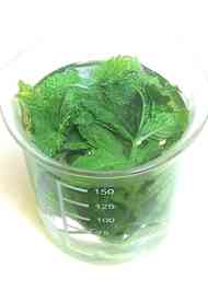 みんなが作ってる ハーブ シロップのレシピ クックパッド 簡単おいしいみんなのレシピが357万品