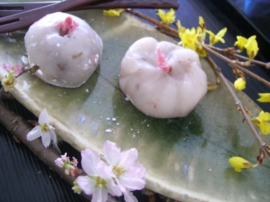 お花見に☆桜の和菓子の写真