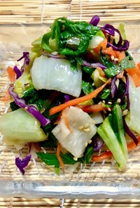 白菜と彩り野菜の甘辛漬けpart2！