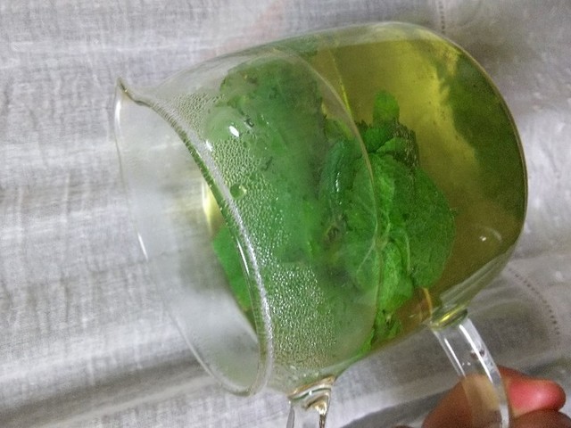 生ミントでミントtea ミントスプレー レシピ 作り方 By 753和み四つ葉 クックパッド 簡単おいしいみんなのレシピが358万品