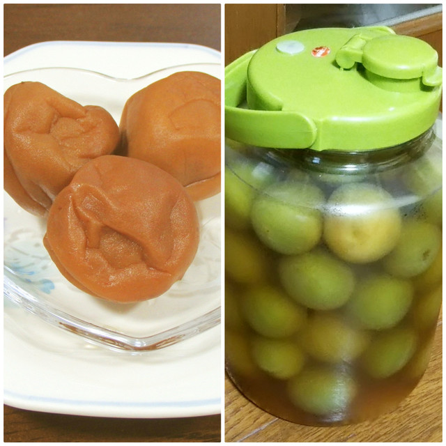 冷凍梅で梅干し レシピ 作り方 By Saskach クックパッド 簡単おいしいみんなのレシピが358万品