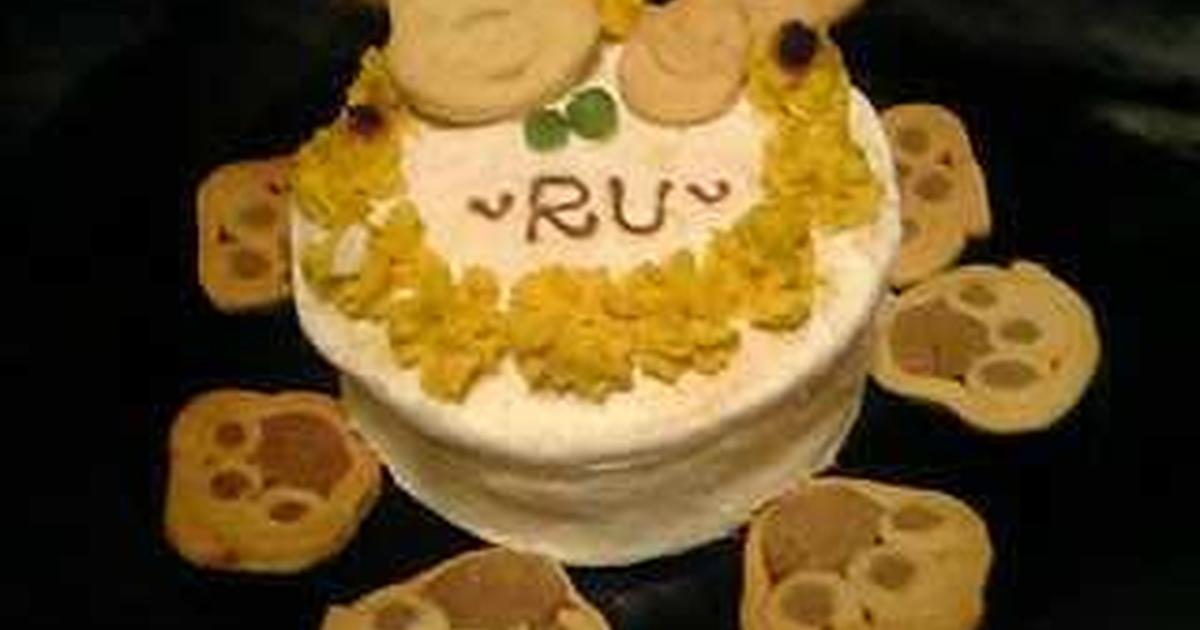 犬用スポンジケーキ レシピ 作り方 By Hysteric02 クックパッド 簡単おいしいみんなのレシピが350万品