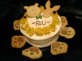 ◎犬用スポンジケーキ◎