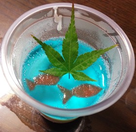涼しげな2色ゼリー☆彡