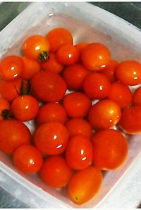 ミニトマト保存方法