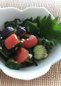 夏野菜とワカメの塩麹サラダ