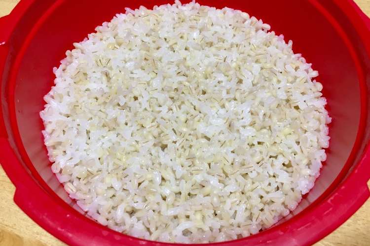 マイヤー電子レンジ圧力鍋 もち麦ご飯 レシピ 作り方 By 千寿 せんじゅ クックパッド