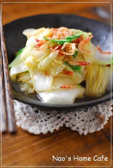 桜海老と白菜のガーリックナンプラー炒めの写真