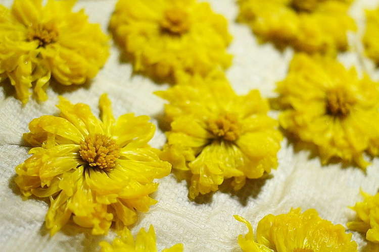 花の形のまま♪食用菊の冷凍保存方法