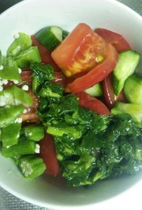 簡単混ぜる 夏野菜のネバネバサラダ