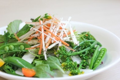 ウドの春野菜サラダの写真