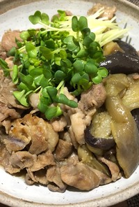 ナスと牛肉のさっぱり煮 ポン酢で簡単！