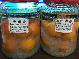 2018杏酒