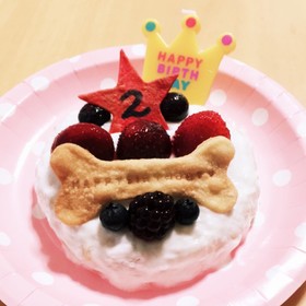 超簡単!犬用ケーキ!