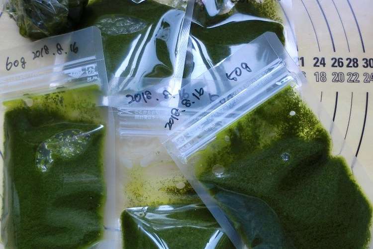 バジルソース 冷凍保存用 レシピ 作り方 By きぃcafe クックパッド 簡単おいしいみんなのレシピが371万品