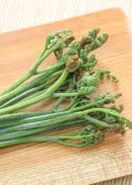 みんなが作ってる わらび 保存のレシピ クックパッド 簡単おいしいみんなのレシピが349万品