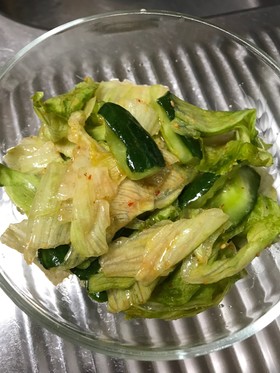キュウリとレタスのピリ辛サラダ