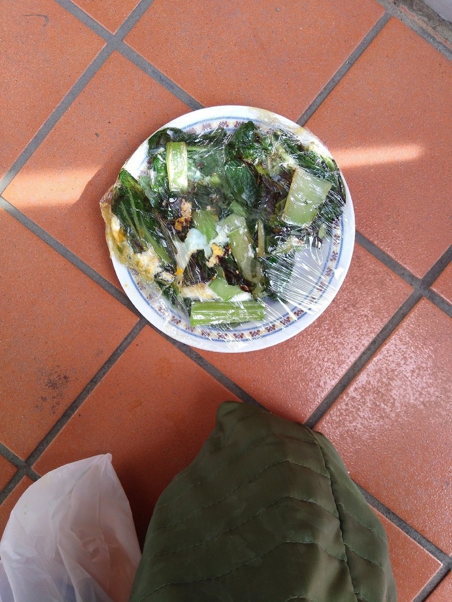 小松菜とたまごの炒めものの画像