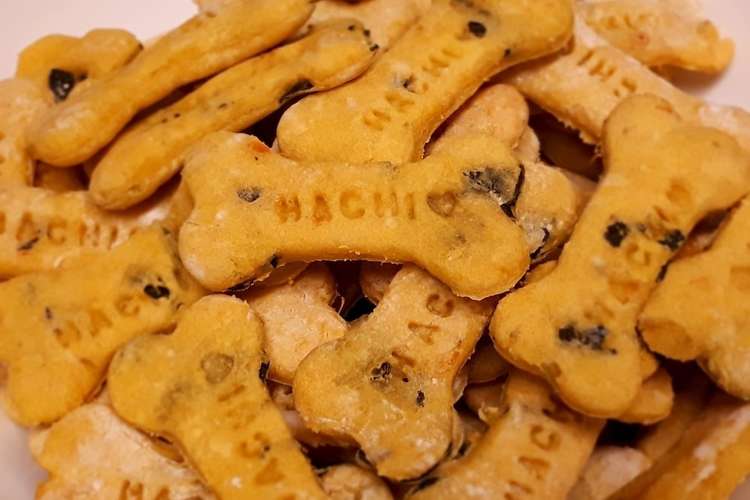 犬用 かぼちゃクッキー レシピ 作り方 By Chiko0309 クックパッド