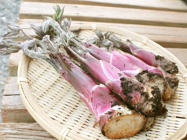 ウドのあく抜き レシピ 作り方 By 山菜レシピ集 紫桜館 クックパッド 簡単おいしいみんなのレシピが365万品