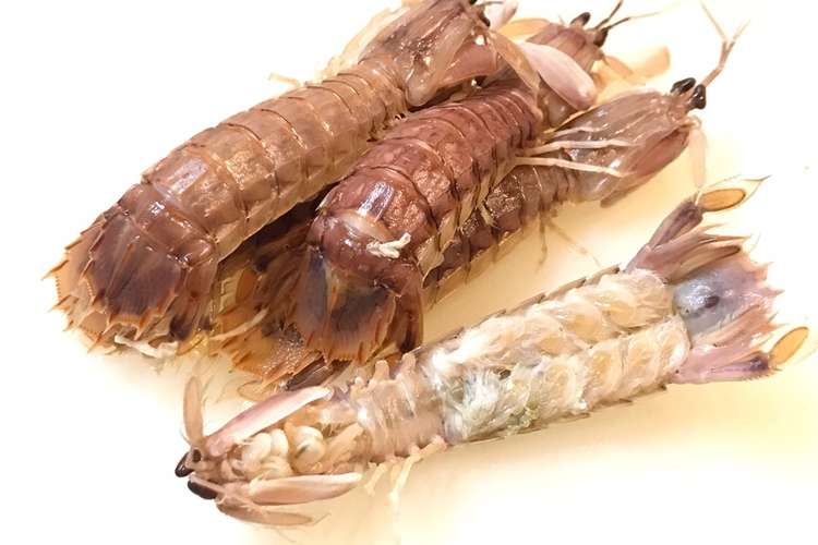 お寿司屋さんのシャコエビ レシピ 作り方 By 新茶小姐 クックパッド 簡単おいしいみんなのレシピが376万品