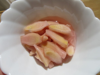 葉生姜の甘酢漬けの写真