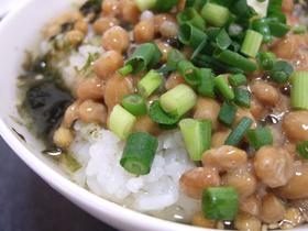 ねぎだく!納豆茶漬け