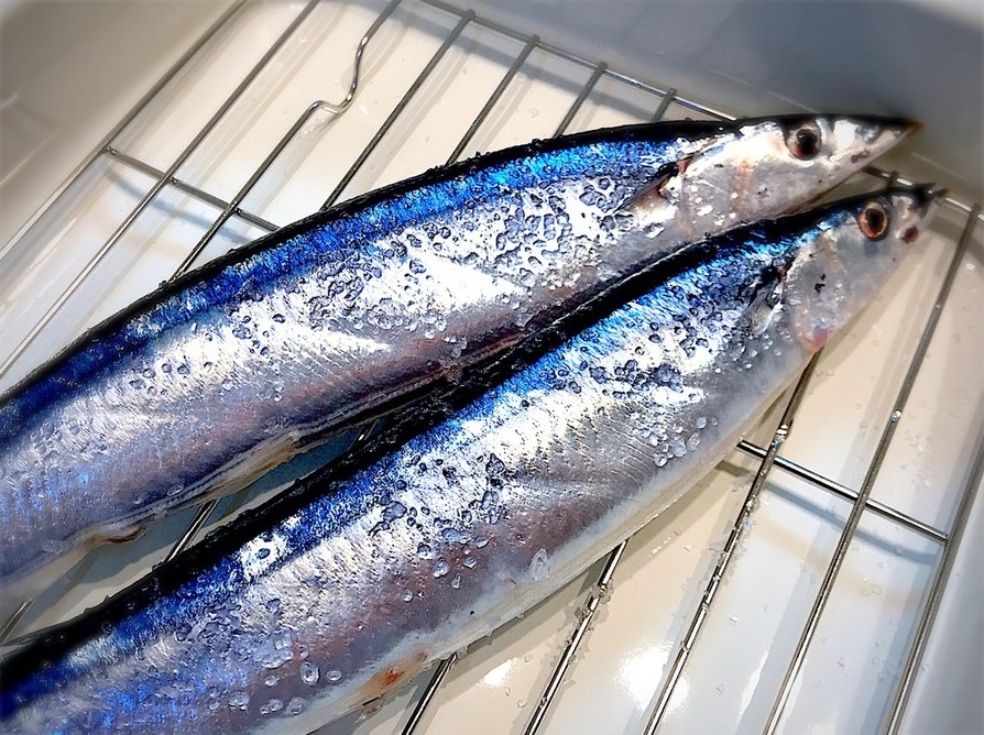 〰魚屋さんから教わった秋刀魚の塩焼き〰の画像