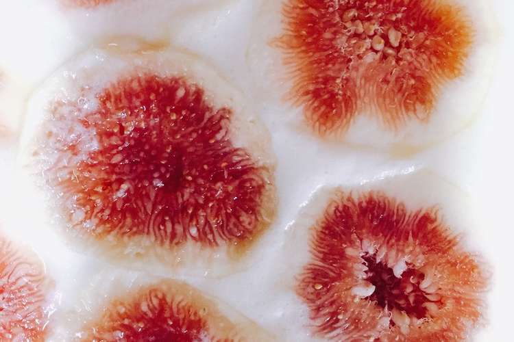 簡単マシュマロプリン レシピ 作り方 By バレエキッチン クックパッド 簡単おいしいみんなのレシピが356万品